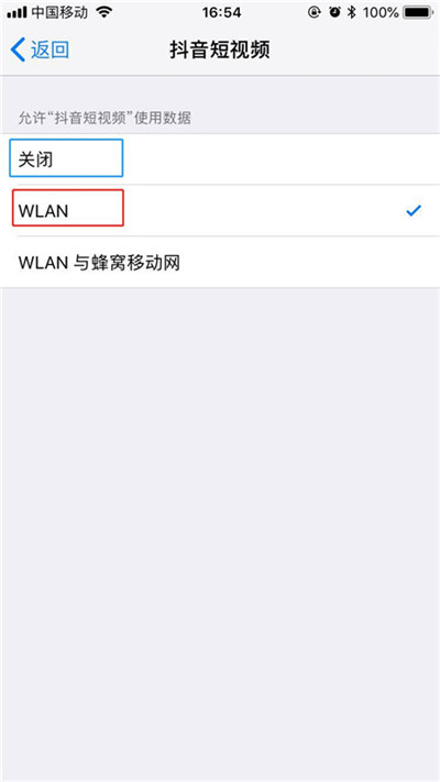 苹果iPhone XR/XS Max怎么禁止软件使用流量?