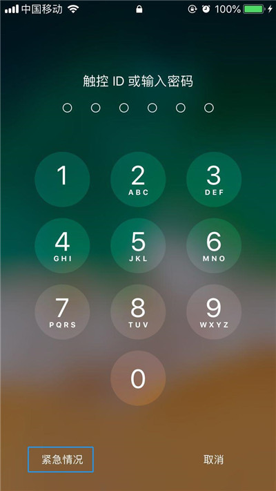 iPhone XR/XS Max医疗急救卡信息如何查看?