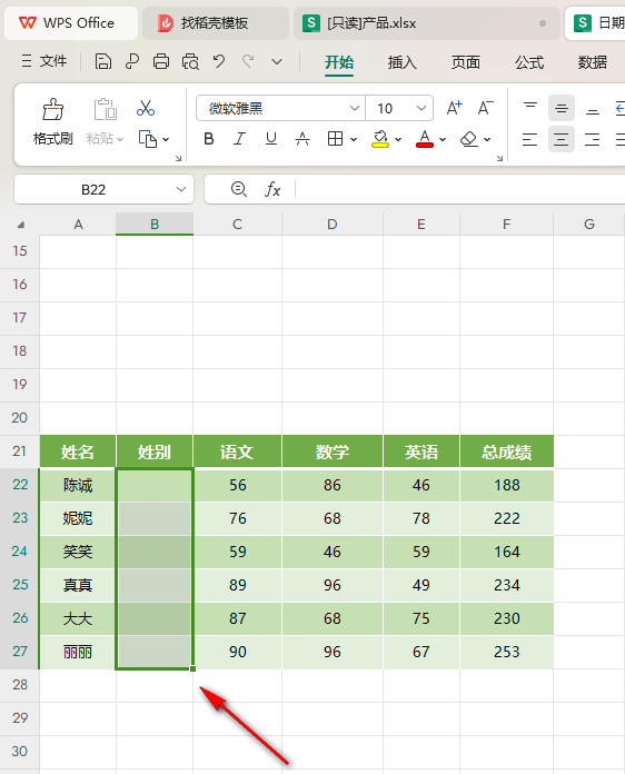 WPS Excel表格设置选择项的具体操作方法