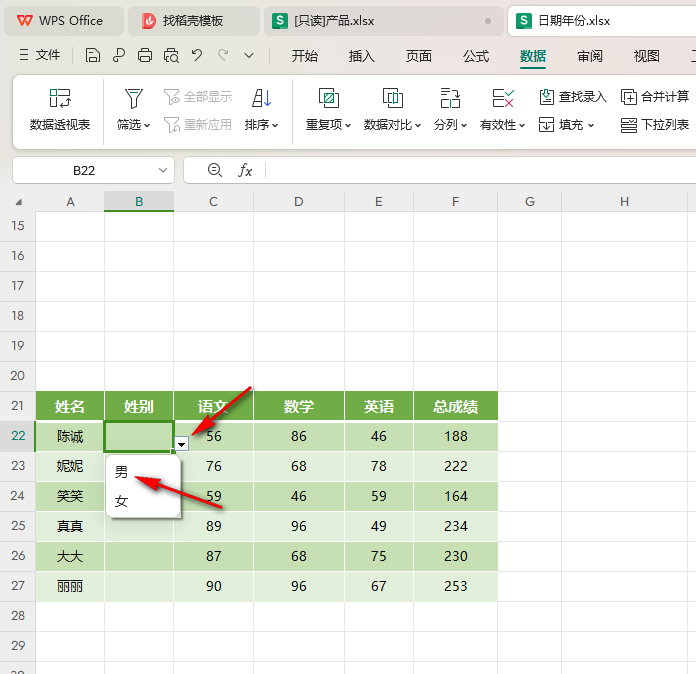 WPS Excel表格设置选择项的具体操作方法